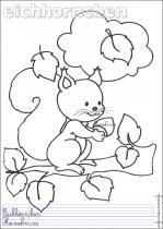 coloriage-ecureuil-2